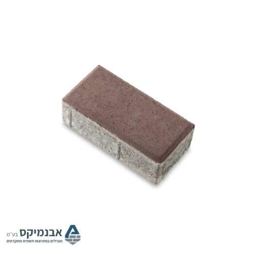 אבנים משתלבות בסיסיות 10X20