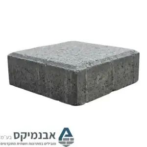 אבן משתלבת 10X10